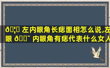 🦁 左内眼角长痣面相怎么说,左眼 🐯 内眼角有痣代表什么女人